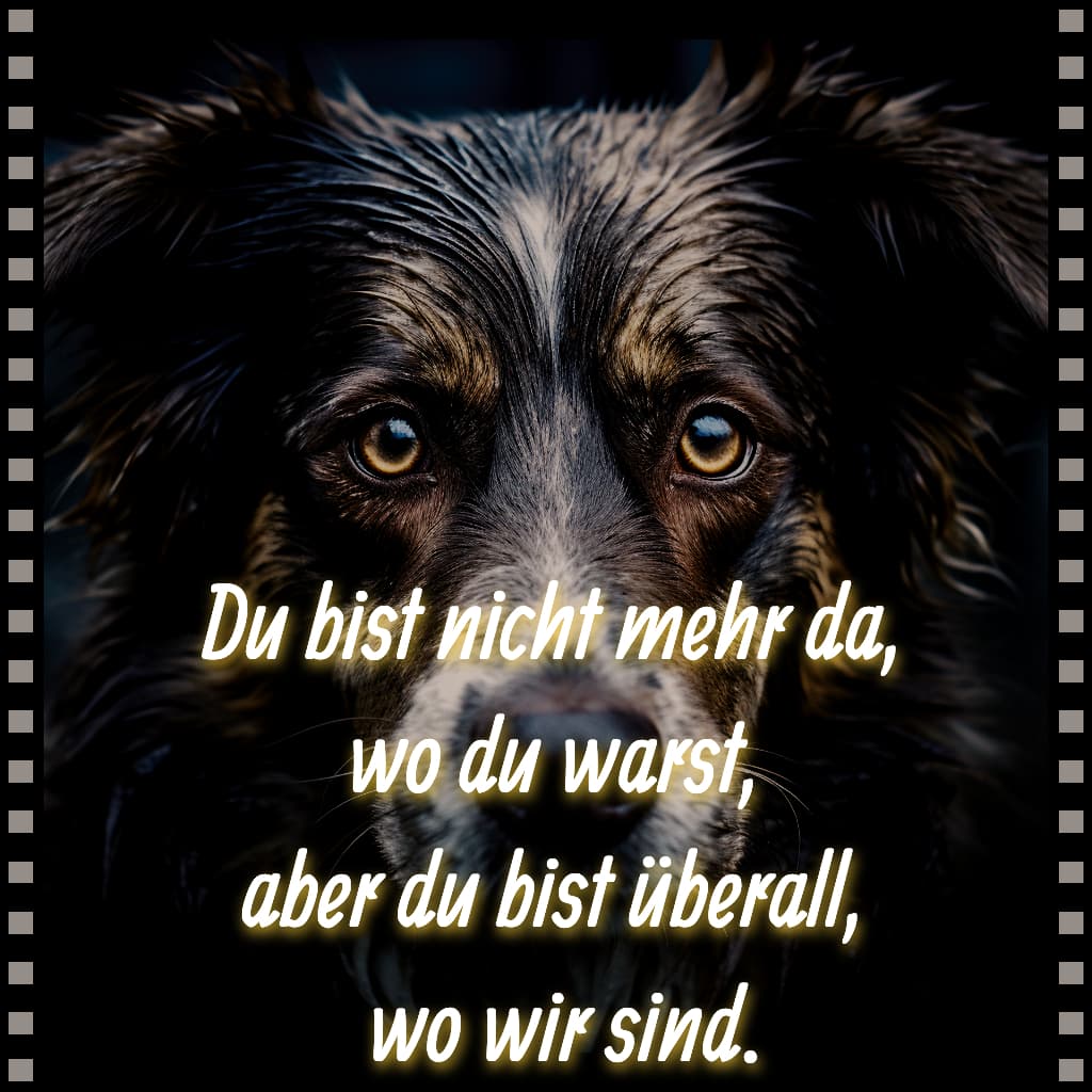 Du bist nicht mehr da, wo du warst, aber du bist überall, wo wir sind.