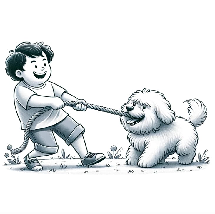 Hundetricks beibringen kann auch ein großer Spaß für beide Seiten sein.