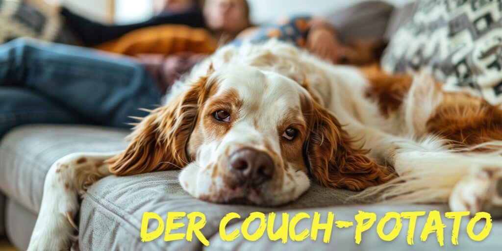 Der Couch Potato liebt es, seine Freizeit auf der Couch zu verbringen.