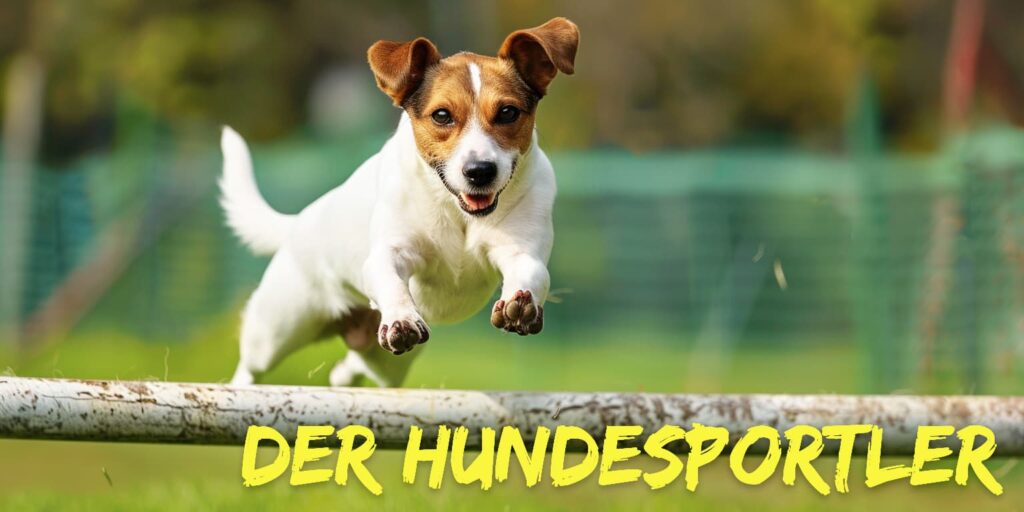 Der Hundesportler