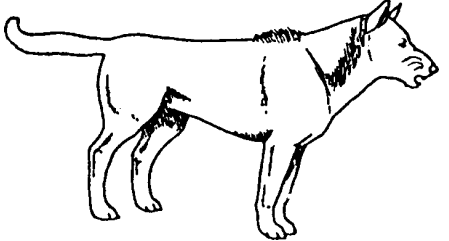 Der Hund droht sicher.