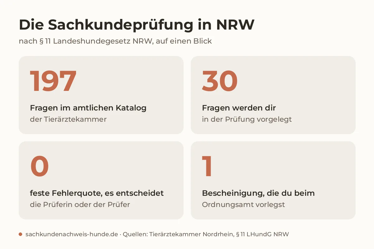 Infografik zur Sachkundeprüfung in NRW: 197 Fragen im amtlichen Katalog, 30 Fragen in der Prüfung, keine feste Fehlerquote, eine Bescheinigung für das Ordnungsamt
